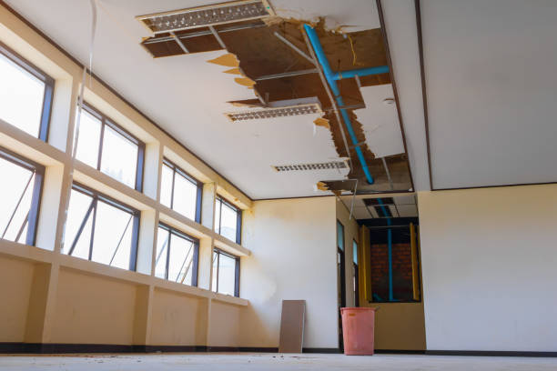 Best Local water damage restoration  in Sharpsville, PA
