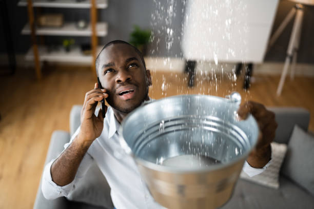 Best Mold removal after water damage  in Sharpsville, PA