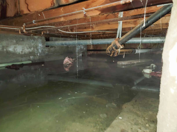 Best 24/7 water damage repair  in Sharpsville, PA