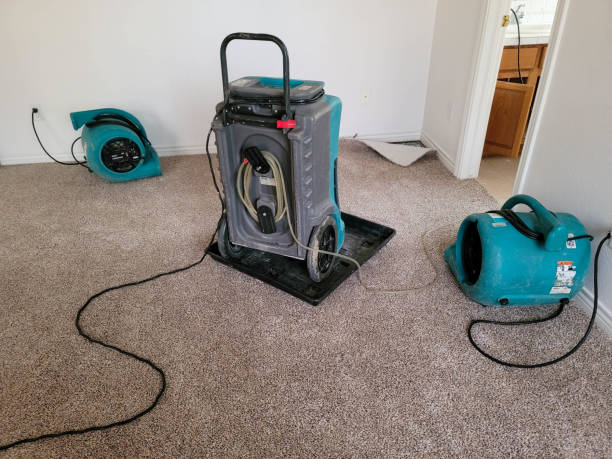 Best Sewage cleanup and water damage restoration  in Sharpsville, PA