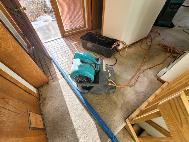 Best Emergency water damage restoration  in Sharpsville, PA