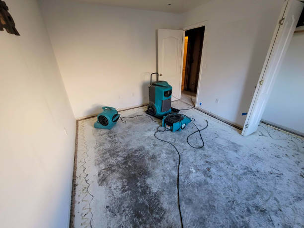 Best Flood damage cleanup  in Sharpsville, PA