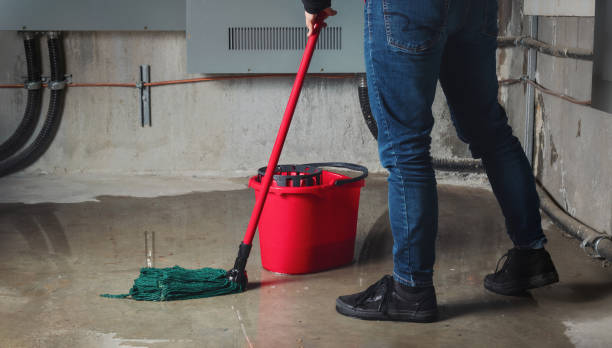 Best Professional water damage repair  in Sharpsville, PA