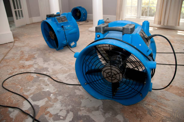 Best Flooded house restoration  in Sharpsville, PA