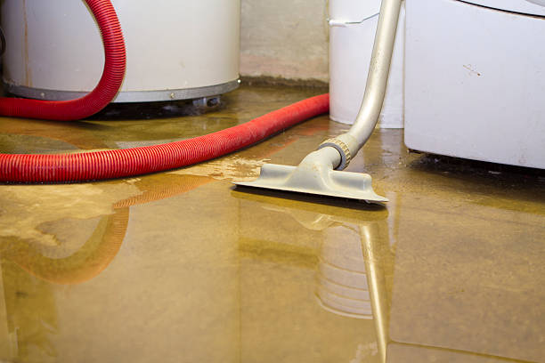 Best 24-hour water damage restoration  in Sharpsville, PA