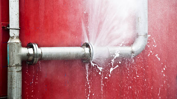 Best Carpet water damage restoration  in Sharpsville, PA